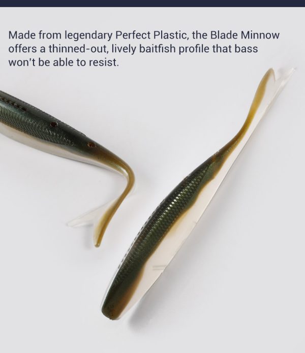 Blade Minnow - Image 3