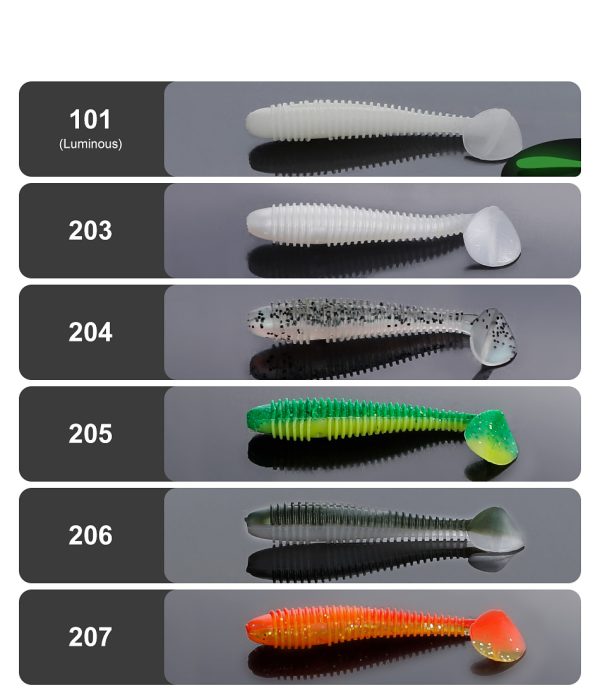Ribbed Minnow - Image 2