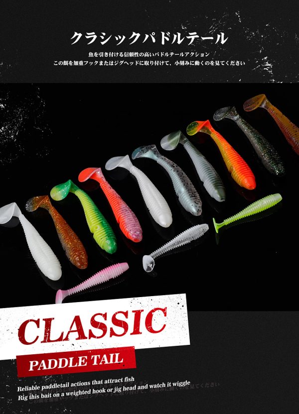 Ribbed Minnow - Image 3