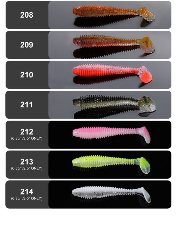 Ribbed Minnow - Image 4