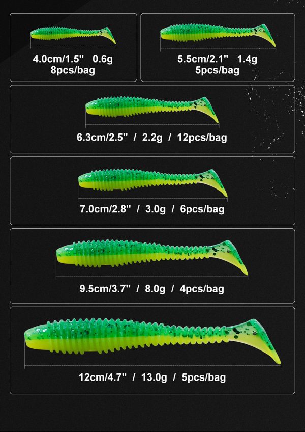 Ribbed Minnow - Image 6