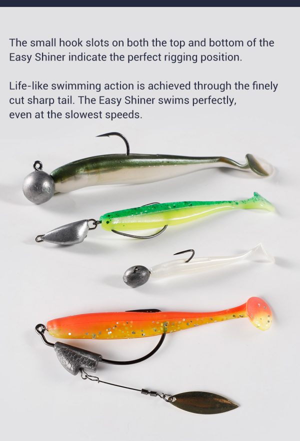 Easy Shiner - Image 2