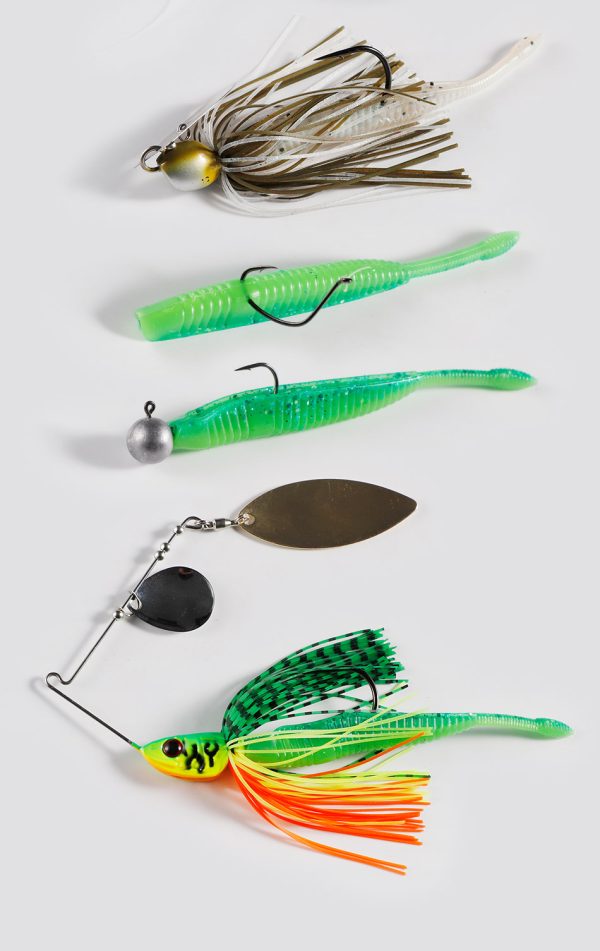 Massugu WORM - Image 4