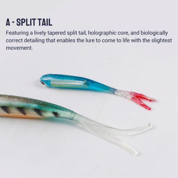 Baby Springer - Image 6