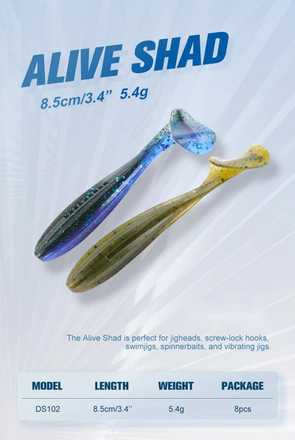 Alive Shad - Image 10