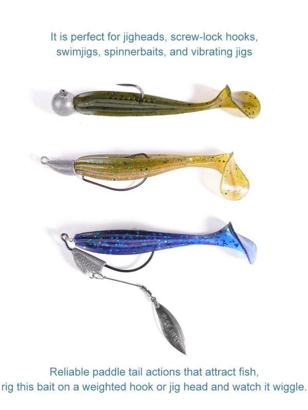 Alive Shad - Image 3