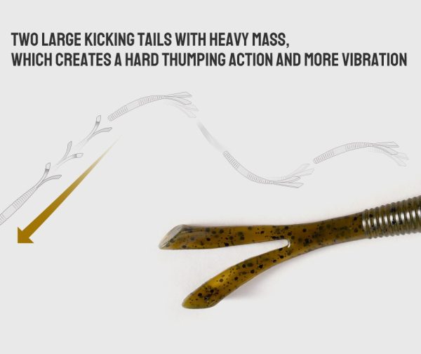 Fork Tail - Image 5