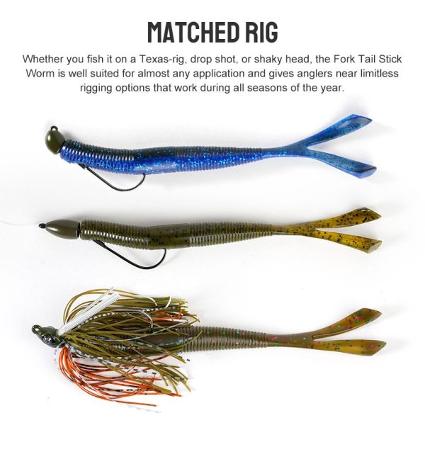 Fork Tail - Image 4