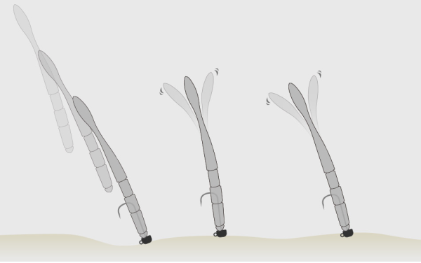 Stick Worm - Image 3