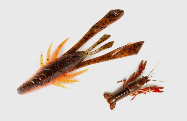 Kicker Craw - Image 4