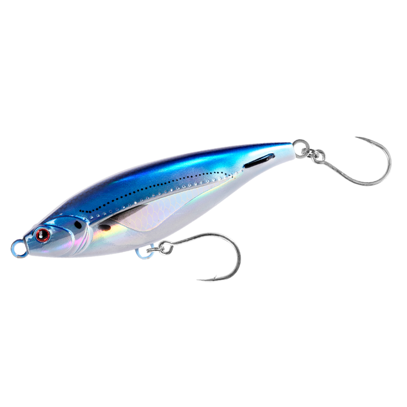 Bully Minnow