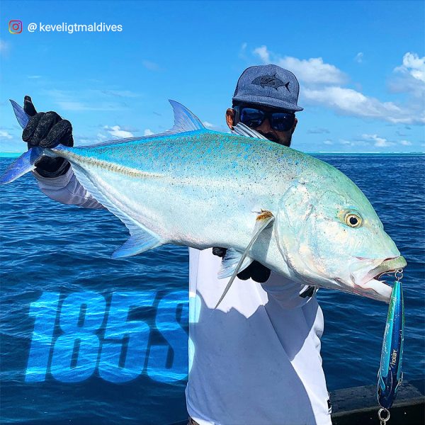 Instigator - Image 13