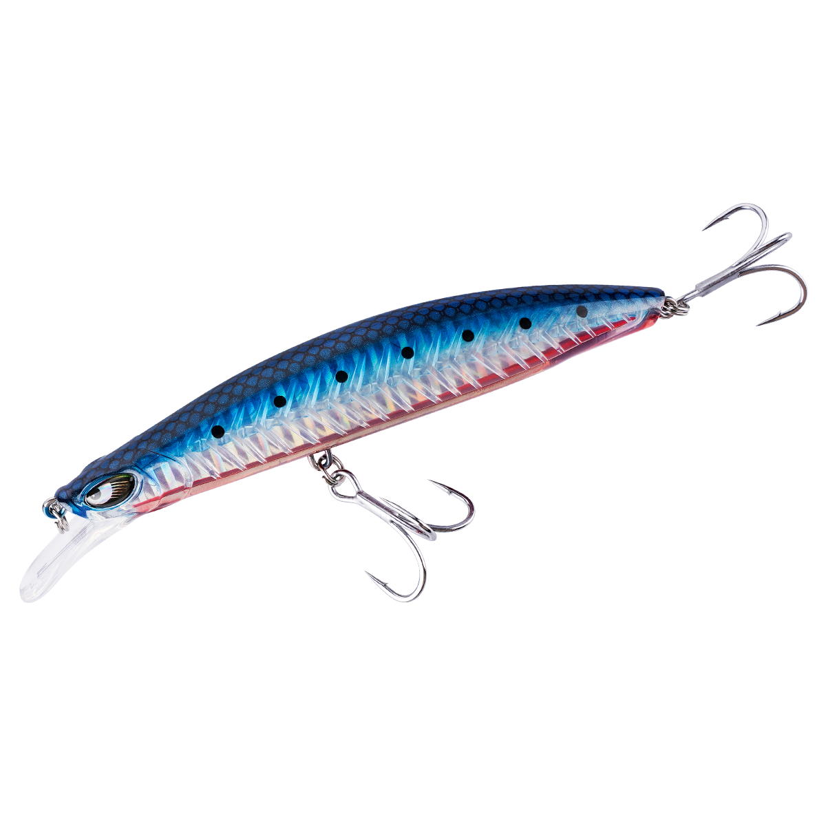 Rocky Caster Plus
