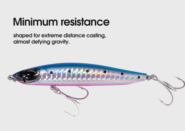 Sand Eel - Image 8