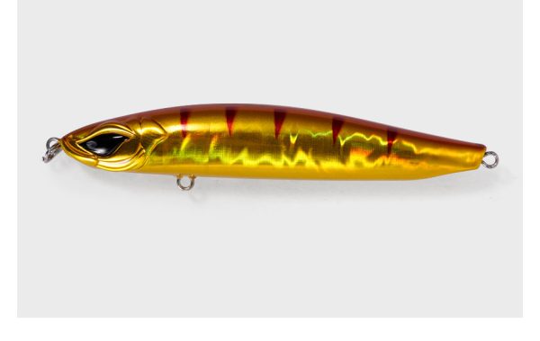 Sand Eel - Image 10