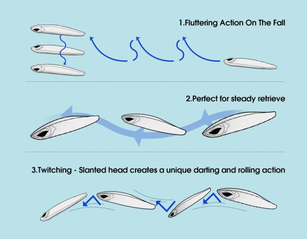 Sand Eel - Image 6