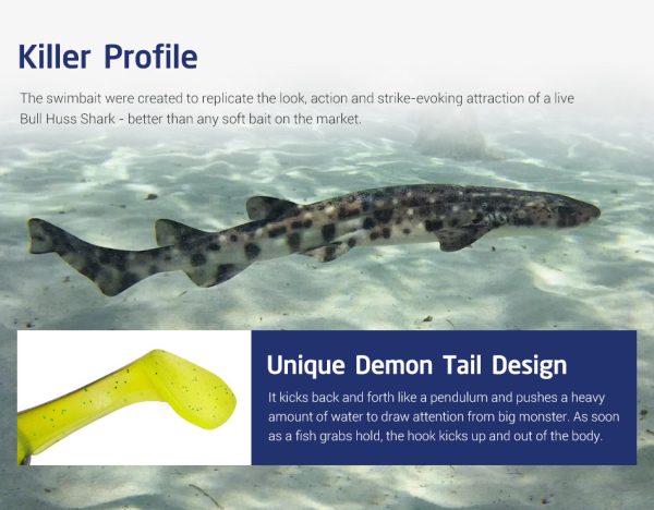 Bosu Minnow - Image 6