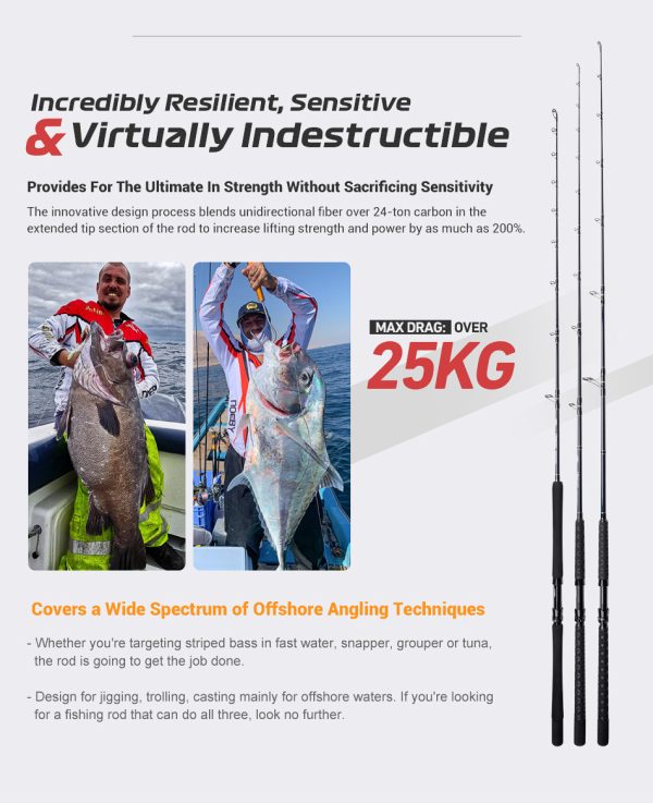 Bluewater Beast Rod - Image 4