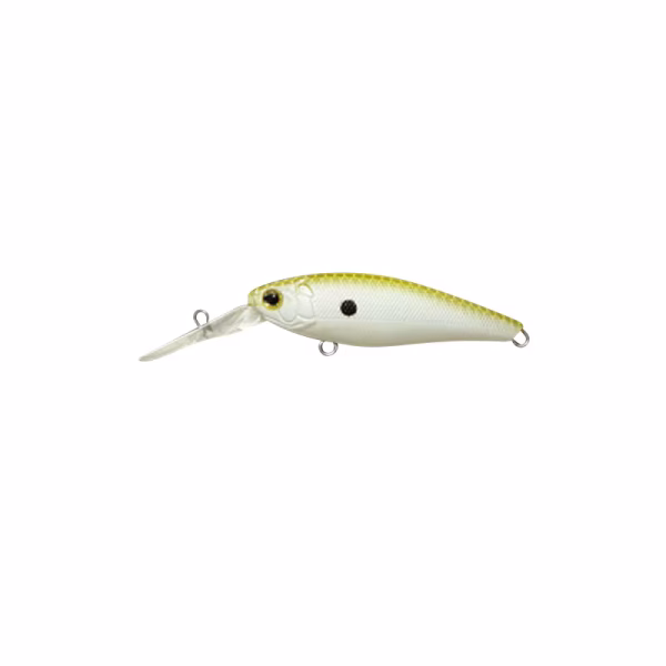 GhostBill - Image 6
